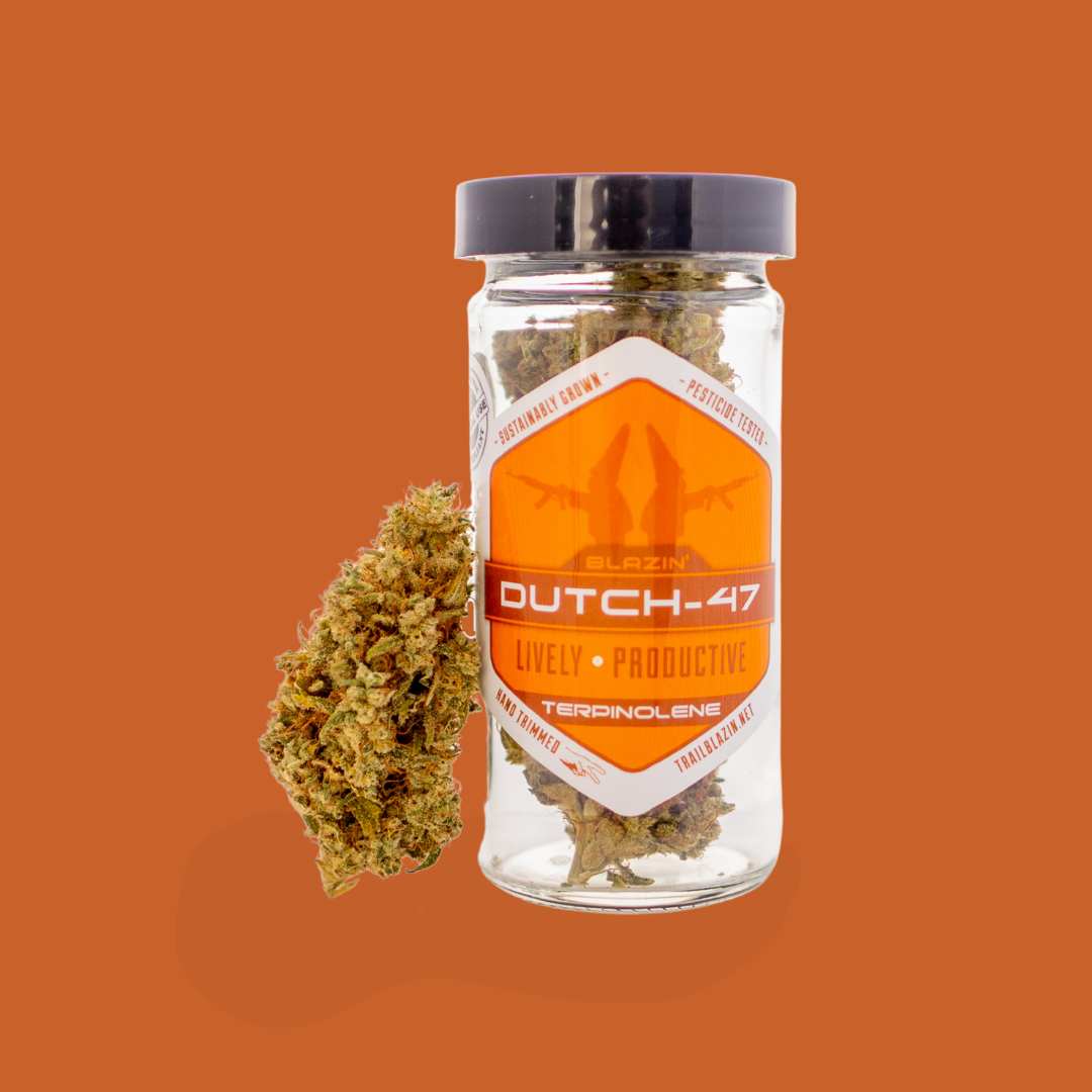 Blazin' Dutch-47 Flower