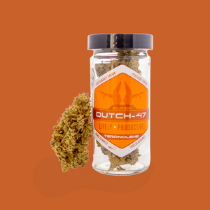 Blazin' Dutch-47 Flower