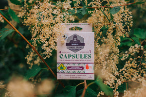 A box of Trail Blazin' GG4 edible capsules in a flower bush