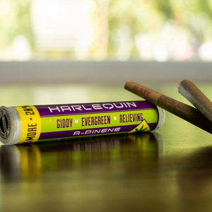 Blazin' Harlequin Pre-Rolls