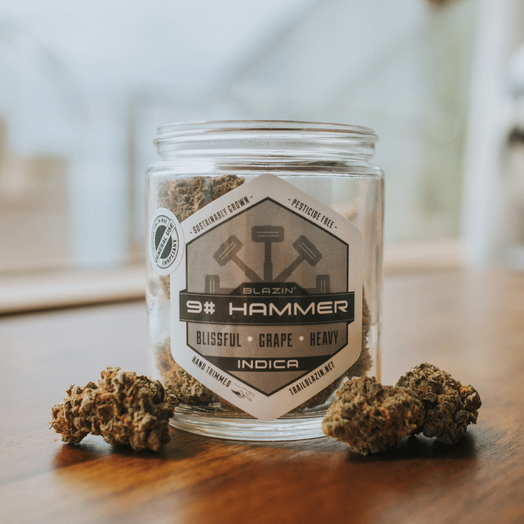 Blazin' 9# Hammer Flower