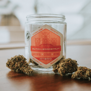 Blazin' Dutch-Grapefruit Flower