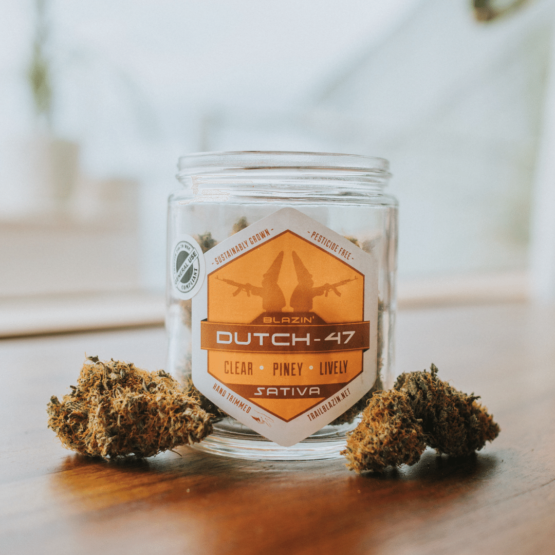 Blazin' Dutch-47 Flower