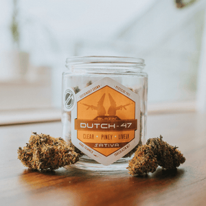 Blazin' Dutch-47 Flower